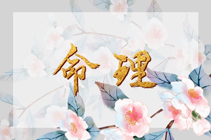 择吉老黄历,择吉黄历,择吉日大全